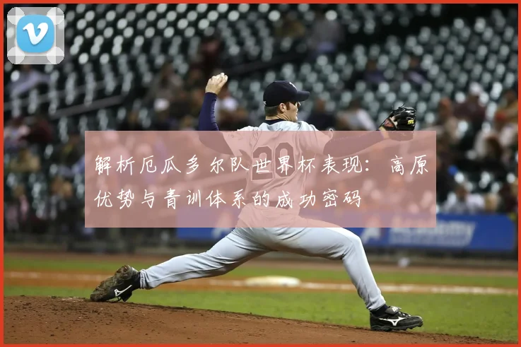 解析厄瓜多尔队世界杯表现：高原优势与青训体系的成功密码
