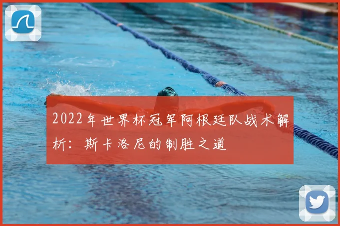 2022年世界杯冠军阿根廷队战术解析：斯卡洛尼的制胜之道