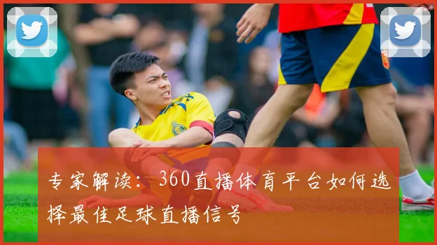 专家解读：360直播体育平台如何选择最佳足球直播信号